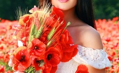 寻乐论坛小说分享